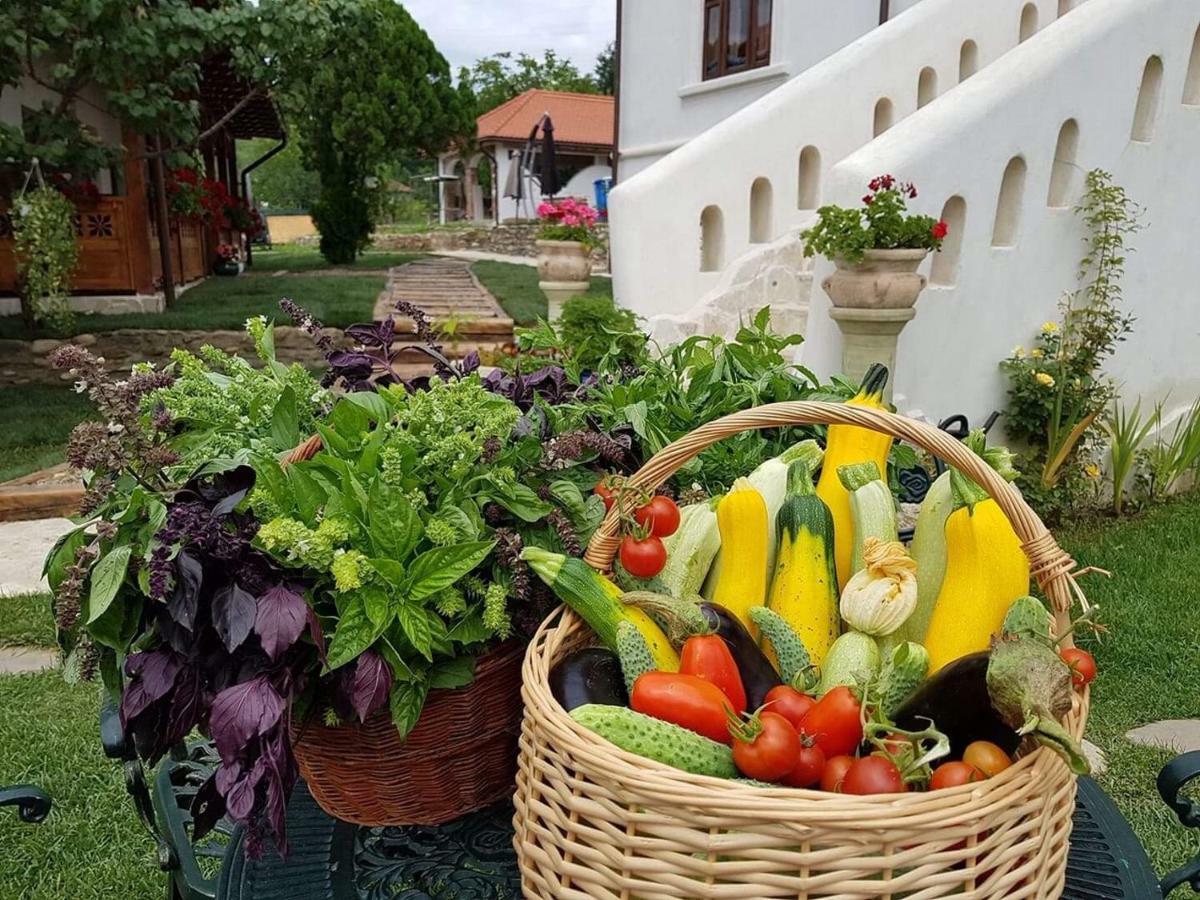 Conacul Grigorescu Ratesti Zewnętrze zdjęcie
